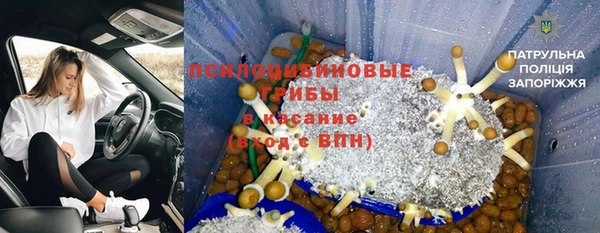 a pvp Алзамай