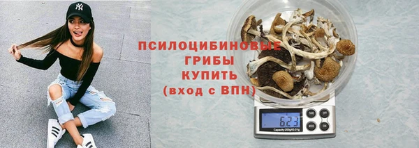 винт Алексин