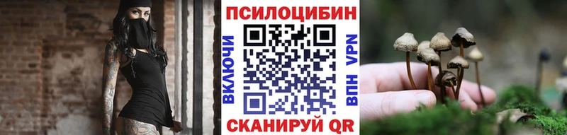 МЕГА маркетплейс  Урюпинск  Псилоцибиновые грибы Cubensis 